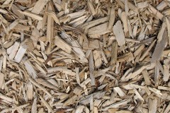 biomass boilers Putnoe