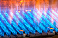 Putnoe gas fired boilers
