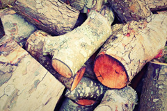 Putnoe wood burning boiler costs